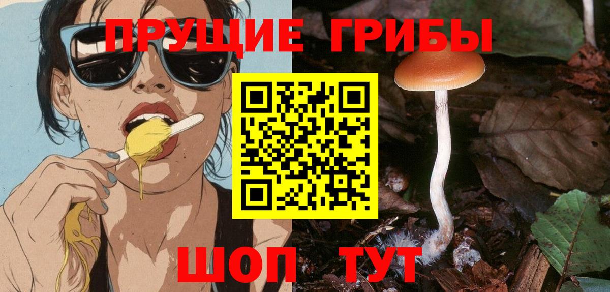 Псилоцибиновые грибы прущие грибы  Вход с VPN  Хасавюрт 